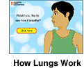 How Lungs Work